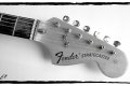 francis_go guitare